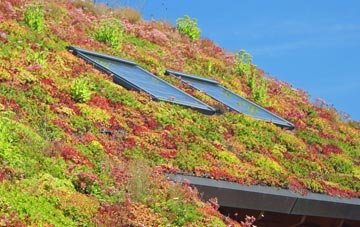Stourton Caundle living roof systems