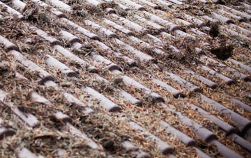 Stourton Caundle roof cleaning companies