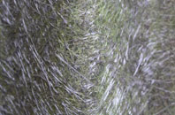 Stourton Caundle fibreglass roof work